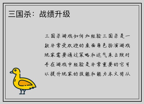 三国杀：战绩升级