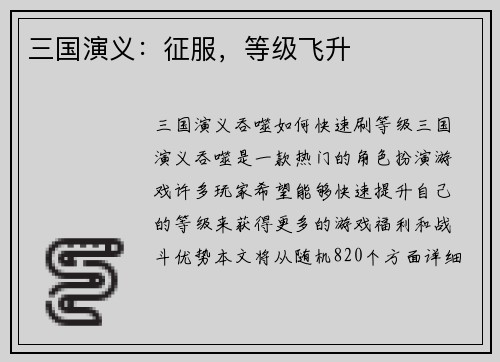 三国演义：征服，等级飞升